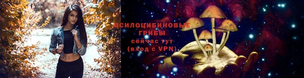 эйфоретик Зеленокумск