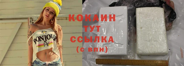 прущие грибы Зеленодольск