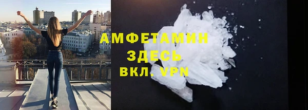 прущие грибы Зеленодольск