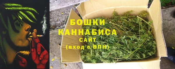 прущие грибы Зеленодольск