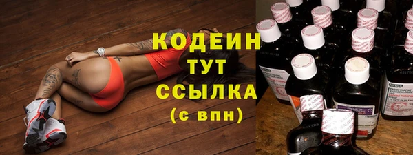 прущие грибы Зеленодольск