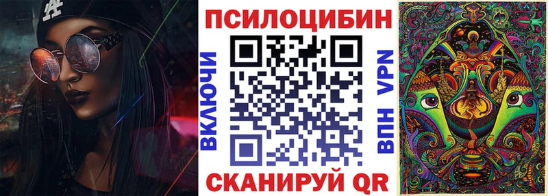 Купить закладки  Заозёрск  Псилоцибиновые грибы мухоморы 